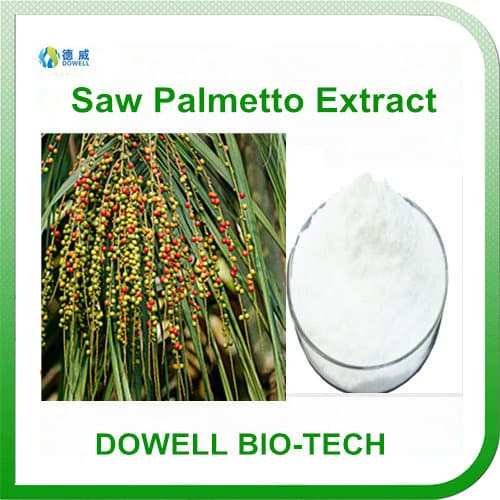 Natual Saw palmetto extract CAS_ 67701_06_8